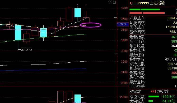 a股什么时候开市（a股）