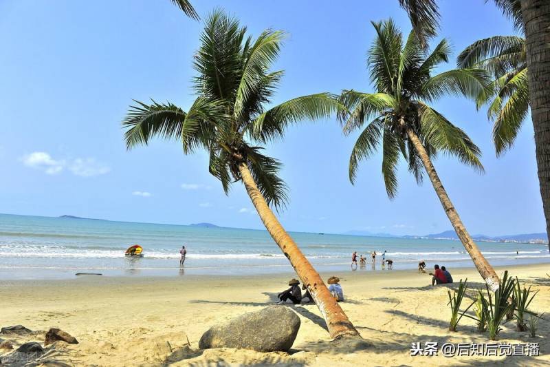 海南自贸区概念股龙头（海南免税概念股票有哪些）