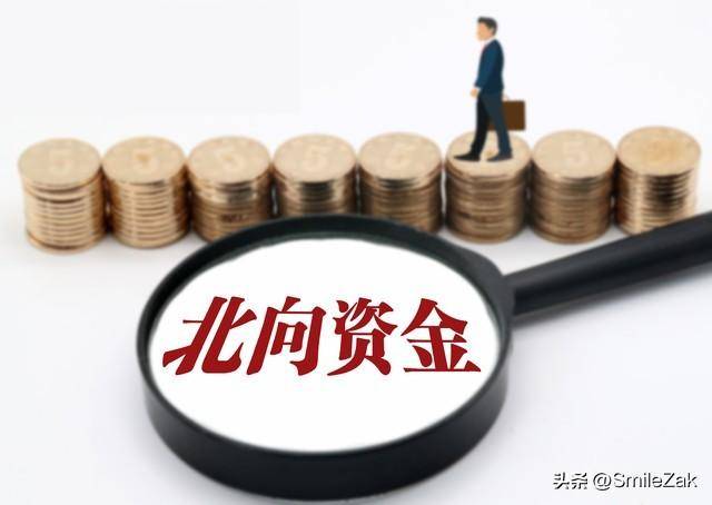 什么是北向资金是啥意思（北向资金）