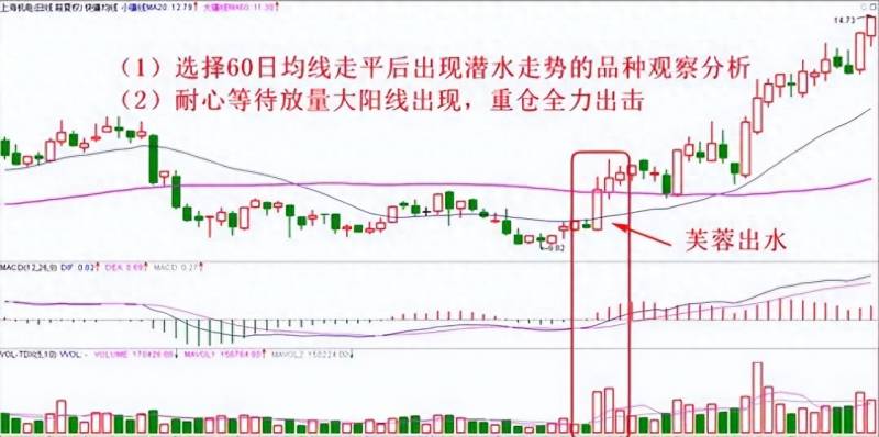 通达信如何购买股票（通达信公式）