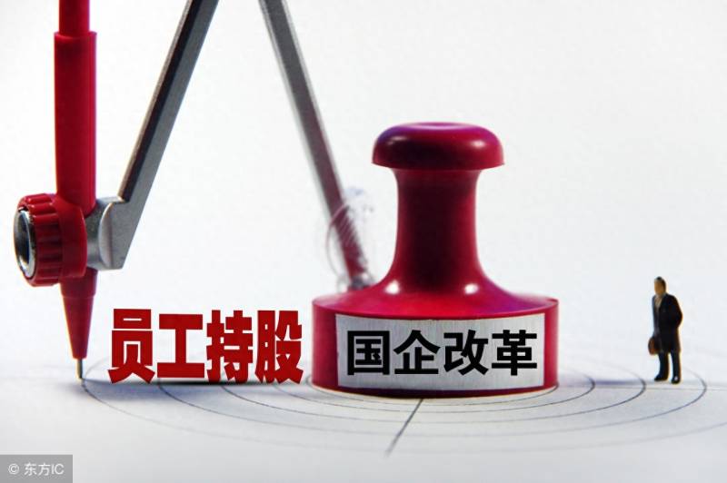 股票刚入股注意什么事项？公司新股东入股注意事项及员工持股方案大全