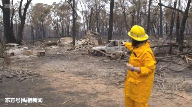 澳大利亚三股山火为什么不管？森林火灾面积已达600万公顷，澳大利亚举国“上火”