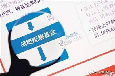 支付宝战略配售蚂蚁股票什么情况战略配售基金什么？战略配售基金大起底