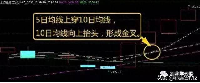 股票五日十日线如何设置？强势股之10日均线用法
