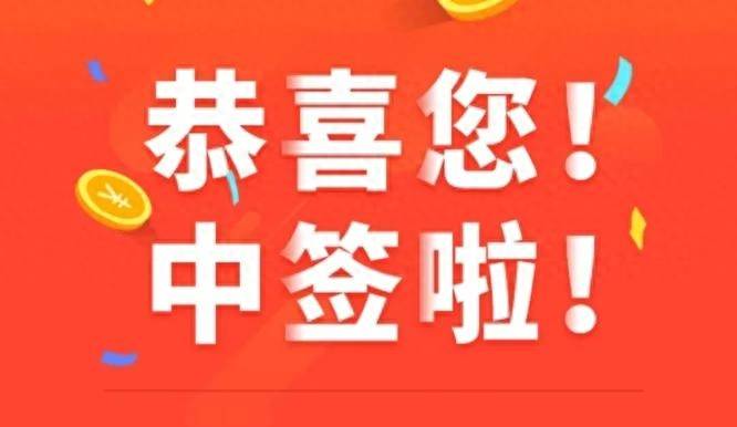 股票打新中签如何查询？最详细最全面的打新经验