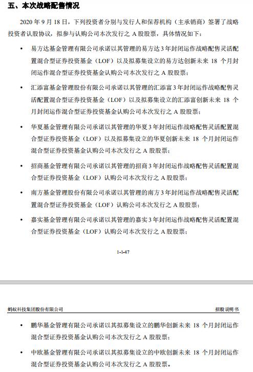 战略配售蚂蚁股票基金有哪些？一文解析5只战略配售蚂蚁股票的创新未来18个月封闭基金