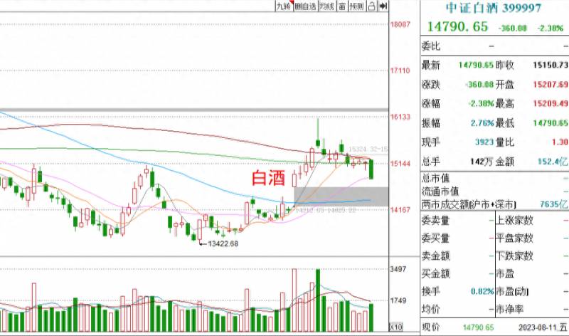今天股市为什么大跌？基金收评丨股市大跌
