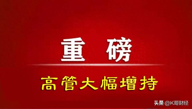 优质蓝筹股票有哪些？A股最近30天高管大幅增持的12只优质蓝筹股