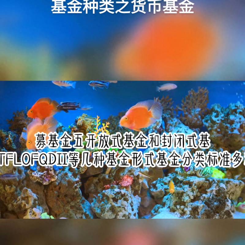 货币型基金收益怎么计算公式？货币基金VS同业存单指数基金