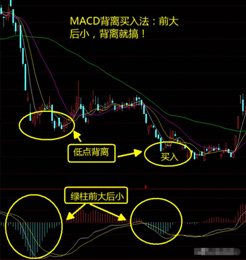 老公炒股赔了20万怎么办呢老公盲目炒股亏了好多钱？一浙江大哥在炒股8年中亏了300万