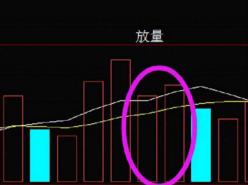 怎么查询股票每日成交量数据？股票成交量是什么怎么看成交量？