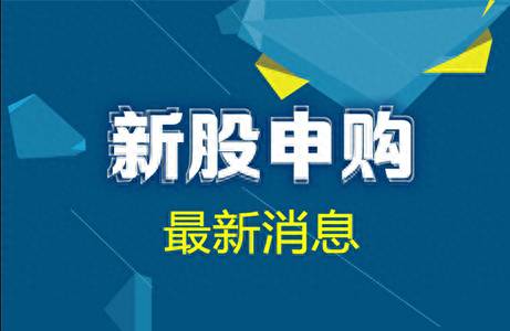 为什么我的股票深市申购额度是零？参与新股申购的规则是什么？