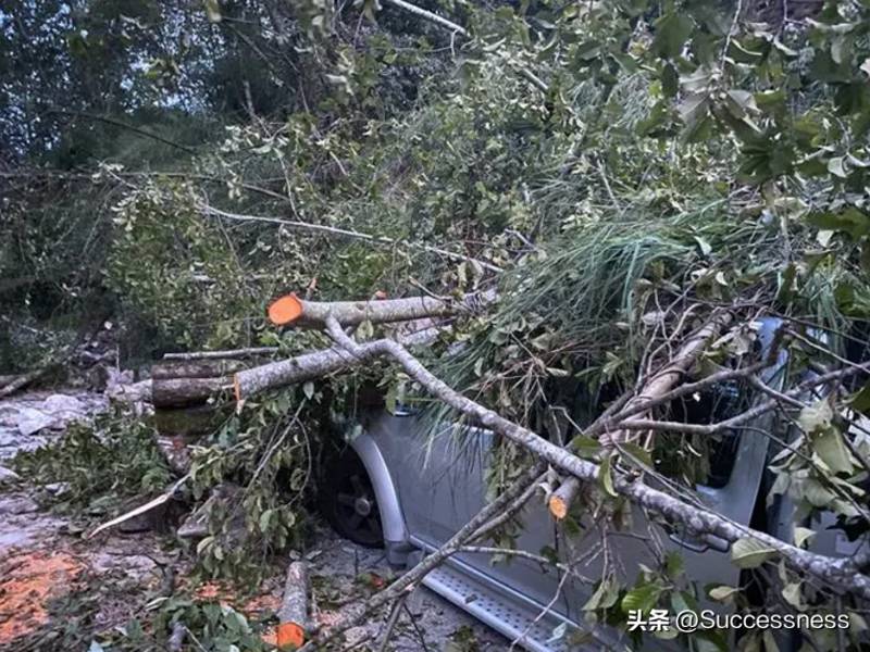 地震板块是什么组成的？四川芦山地震是什么原因引起的？