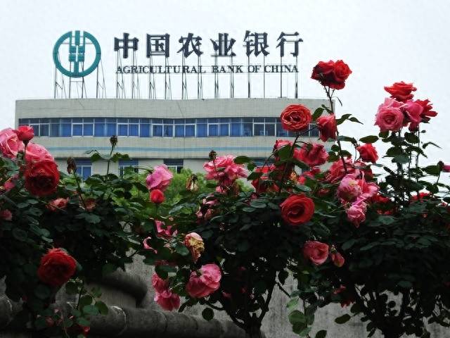 农业银行的股票叫什么名字农业银行什么时候上市？中国农业银行发布2023年一季度业绩