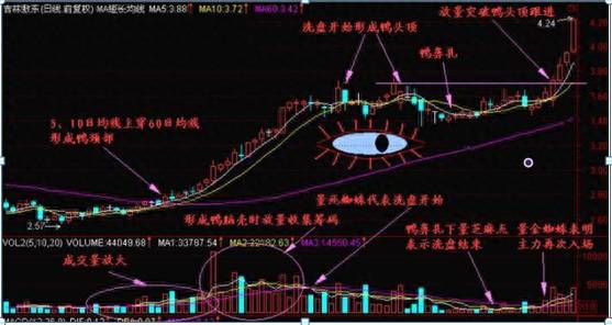 散户炒股的弱点和思维有哪些？为什么散户炒股总是赚不到钱？