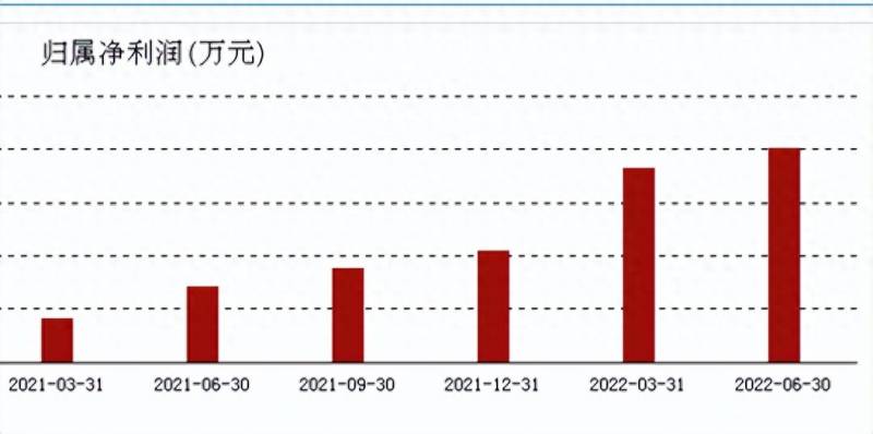 长安汽车股票中报什么时间出？中报业绩神州数码增长400%