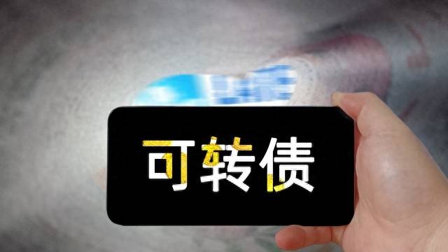 股票账户中可转债什么意思（可转债介绍）