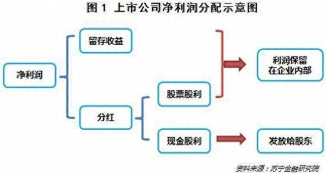 股票分红配息是什么？炒股百科｜什么是分红？