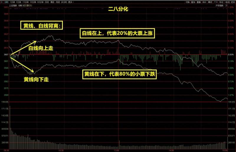 为什么炒股是二八定律股市里的二八现象是什么意思？股市里的二八定律