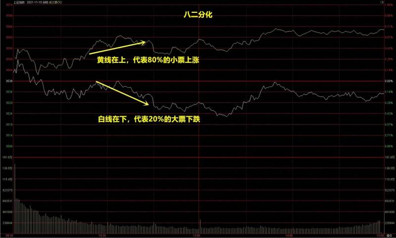 为什么炒股是二八定律股市里的二八现象是什么意思？股市里的二八定律