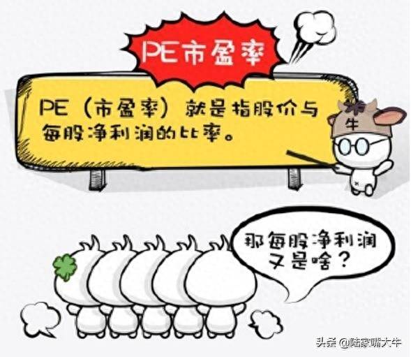 pe动态市盈率如何计算？财务指标入门之PE详解静态市盈率