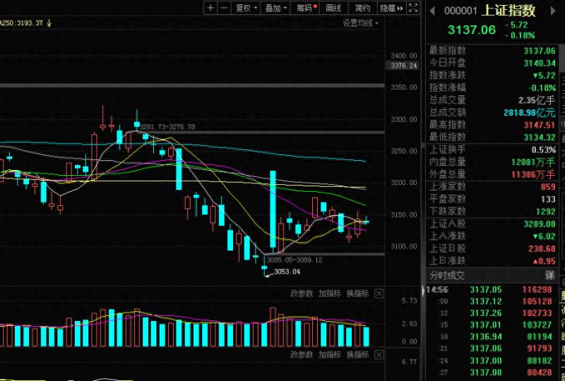 养老金股票为什么一直跌？