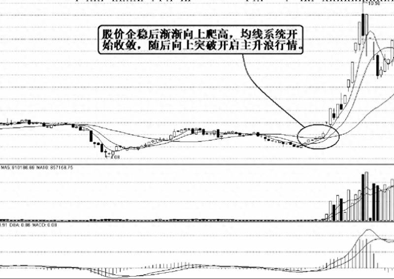 炒股亏本40万什么意思？券商总经理炒股21年亏损180万