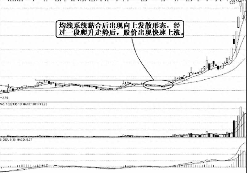 炒股亏本40万什么意思？券商总经理炒股21年亏损180万