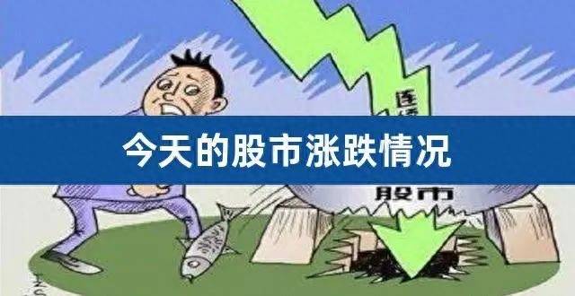 股市为什么暴跌？