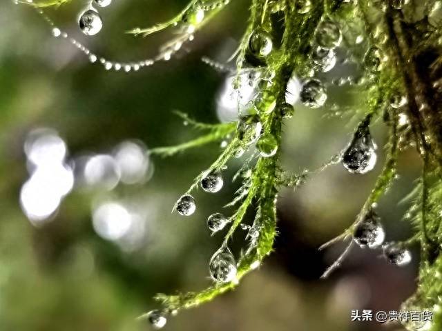 起伏是几月几号2023年？