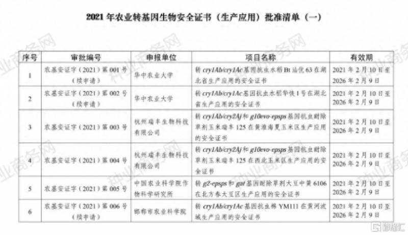 1998年大涨的股票有哪些？