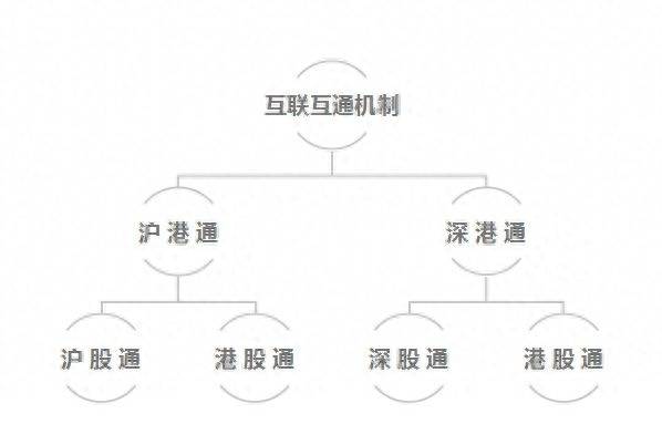 沪股通是什么意思？