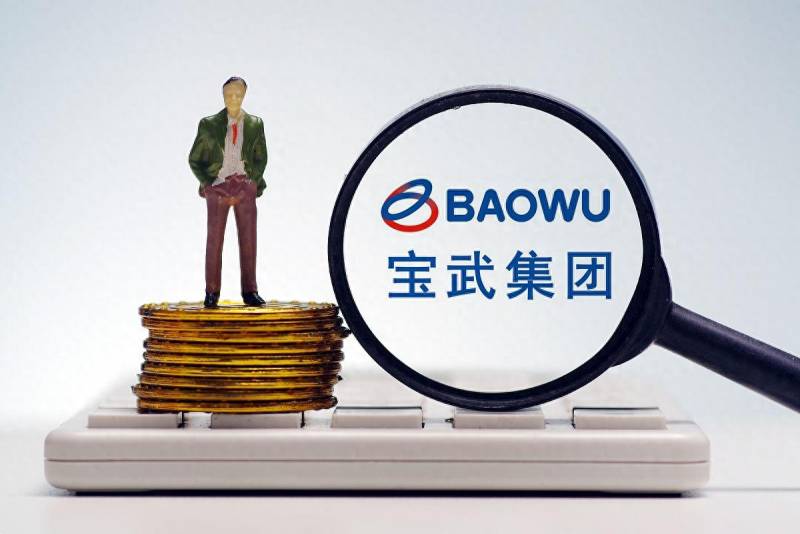 宝钢股份有限公司有哪些？