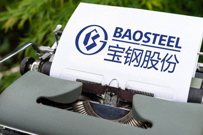 宝钢股份有限公司有哪些？