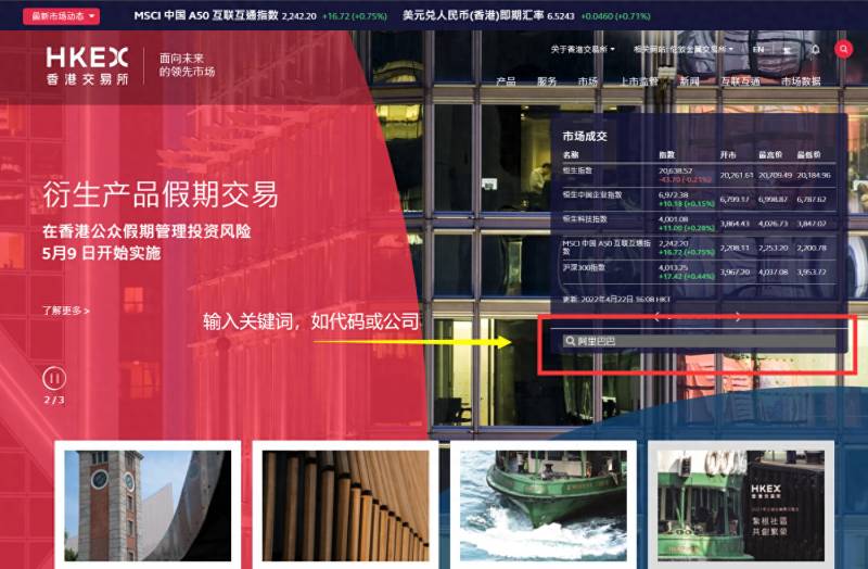 如何查询港交所的股票？