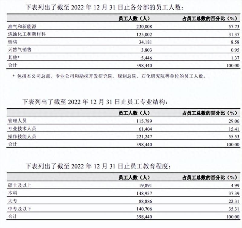 中国的石油行业上市公司有哪些？