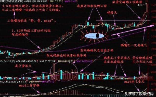 老鸭头股票是怎么选出来的如何判断老鸭头典型趋势？