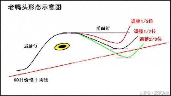 老鸭头股票是怎么选出来的如何判断老鸭头典型趋势？