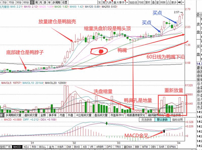 老鸭头股票是怎么选出来的如何判断老鸭头典型趋势？