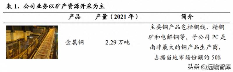 河钢股份有铁矿吗？