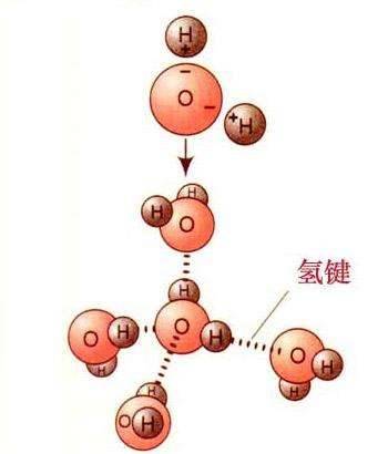 氢键是不是化学键？