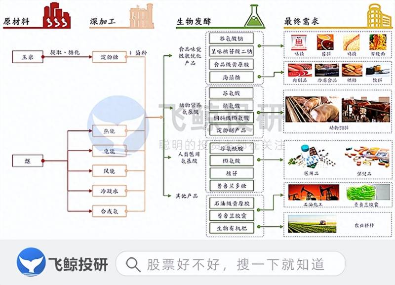 梅花生物股票为什么大跌？