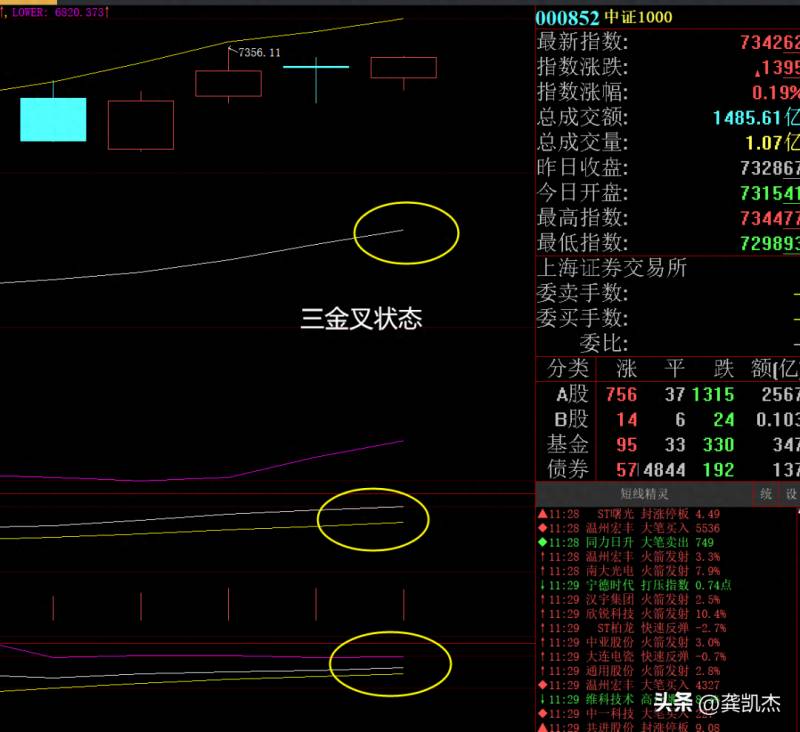 股票冰火两重怎么办？