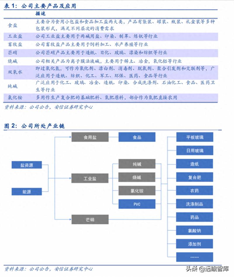 岩盐股票有哪些龙头？