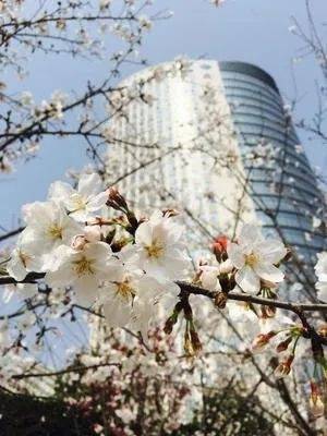 湖北省传媒股份有限公司待遇如何上班？