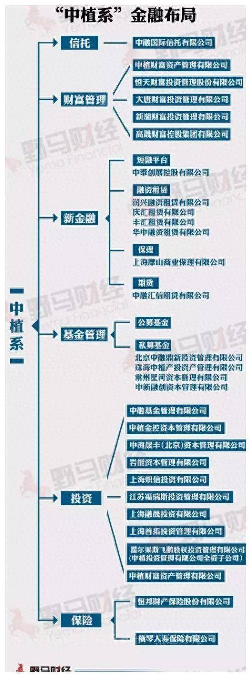 中植集团有哪些上市公司？