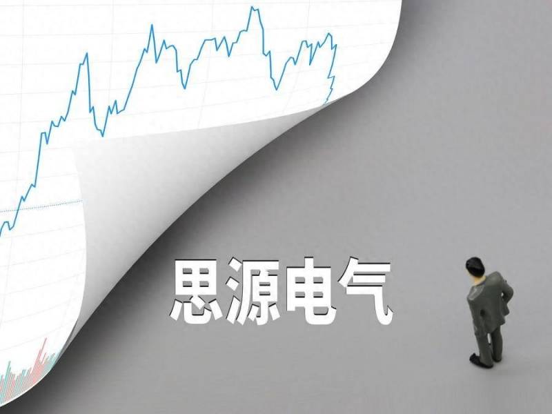 思源电器股票怎么样上海思源电气厂如何？