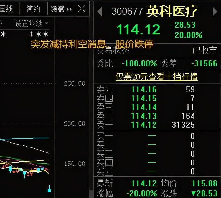 三峡能源中签率