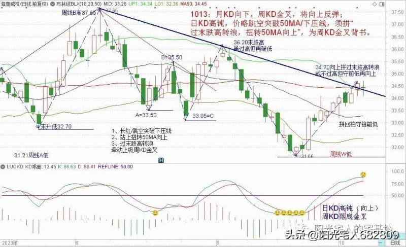 1013股票怎么样？