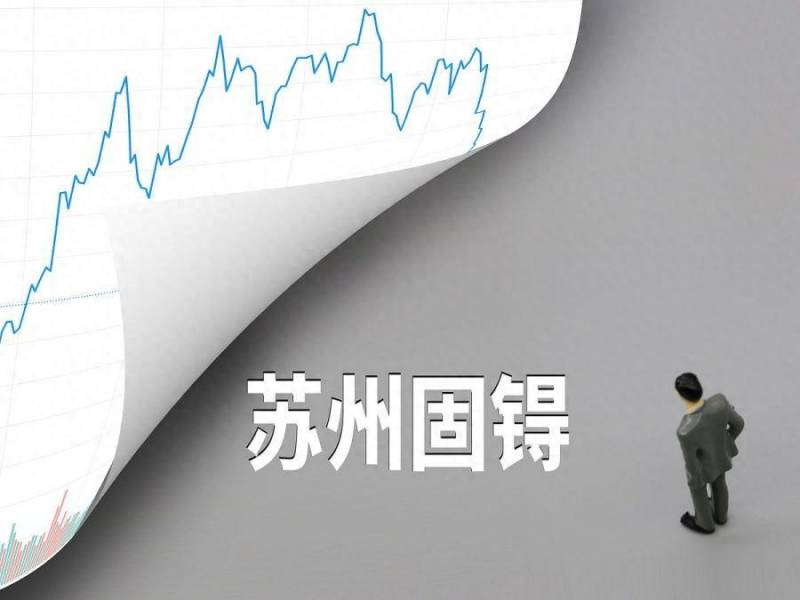 苏州固锝电子股份有限公司干什么？